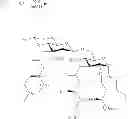 Fig. 41 - Monophosphorylated lipid A derivatives