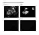 Fig. 06 - APPLICATIONS OF AN IMMUNE SYSTEM-RELEASED ACTIVATING AGENT (ISRAA)