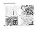 Fig. 07 - APPLICATIONS OF AN IMMUNE SYSTEM-RELEASED ACTIVATING AGENT (ISRAA)