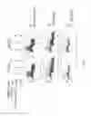 Fig. 02 - Antibodies to human GDF8