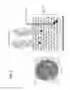 Fig. 04 - ANTI-WALL TEICHOIC ANTIBODIES AND CONJUGATES