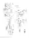 Fig. 05 - ANTI-WALL TEICHOIC ANTIBODIES AND CONJUGATES