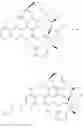 Fig. 101 - ANTI-WALL TEICHOIC ANTIBODIES AND CONJUGATES