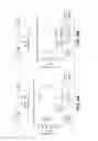 Fig. 13 - ANTI-WALL TEICHOIC ANTIBODIES AND CONJUGATES