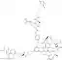 Fig. 86 - ANTI-WALL TEICHOIC ANTIBODIES AND CONJUGATES