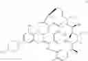 Fig. 99 - ANTI-WALL TEICHOIC ANTIBODIES AND CONJUGATES