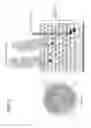Fig. 04 - Anti-wall teichoic antibodies and conjugates