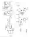 Fig. 05 - Anti-wall teichoic antibodies and conjugates