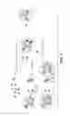 Fig. 06 - Anti-wall teichoic antibodies and conjugates