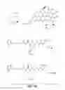 Fig. 47 - Anti-wall teichoic antibodies and conjugates