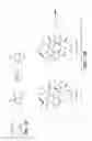 Fig. 48 - Anti-wall teichoic antibodies and conjugates