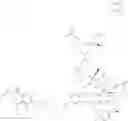 Fig. 83 - Anti-wall teichoic antibodies and conjugates