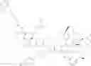 Fig. 84 - Anti-wall teichoic antibodies and conjugates