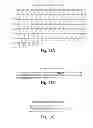 Fig. 17 - Neutralizing antibodies and methods of use thereof