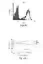 Fig. 26 - Neutralizing antibodies and methods of use thereof