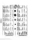 Fig. 06 - METHOD FOR INDUCING IMMUNE TOLERANCE THROUGH TARGETTED GENE EXPRESSION