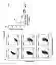 Fig. 09 - METHOD FOR INDUCING IMMUNE TOLERANCE THROUGH TARGETTED GENE EXPRESSION