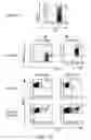 Fig. 02 - Adoptive transfer of CD8T cell clones derived from central memory cells