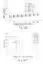 Fig. 32 - Targeted Crosslinked Multilamellar Liposomes