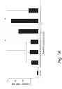 Fig. 33 - Targeted Crosslinked Multilamellar Liposomes
