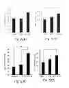 Fig. 40 - Targeted Crosslinked Multilamellar Liposomes
