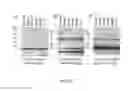 Fig. 33 - Compositions and vaccines comprising vesicles and methods of using the same