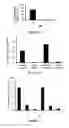 Fig. 03 - LIPOSOMAL DRUG ENCAPSULATION