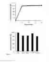 Fig. 03 - Modified drugs for use in liposomal nanoparticles