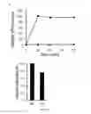 Fig. 04 - Modified drugs for use in liposomal nanoparticles