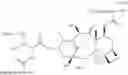 Fig. 41 - Modified drugs for use in liposomal nanoparticles