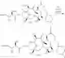 Fig. 89 - Modified drugs for use in liposomal nanoparticles