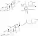 Fig. 95 - Modified drugs for use in liposomal nanoparticles