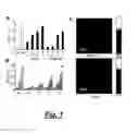Fig. 02 - Compositions for binding to amyloid proteins