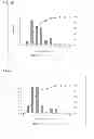Fig. 04 - Pharmaceutical formulation