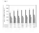 Fig. 07 - Pharmaceutical formulation