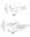 Fig. 10 - Drug loaded polymeric nanoparticles and methods of making and using same