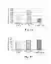 Fig. 16 - Drug loaded polymeric nanoparticles and methods of making and using same