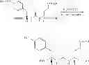 Fig. 25 - Drug loaded polymeric nanoparticles and methods of making and using same