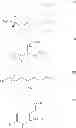 Fig. 31 - Drug loaded polymeric nanoparticles and methods of making and using same