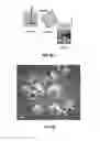 Fig. 06 - Artificial cell constructs for cellular manipulation