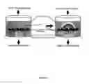 Fig. 09 - Artificial cell constructs for cellular manipulation