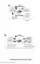 Fig. 15 - Artificial cell constructs for cellular manipulation