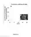 Fig. 17 - Artificial cell constructs for cellular manipulation