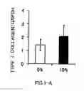Fig. 02 - AGENT FOR ACTIVATING SIRTUIN GENE CONTAINING EGG SHELL MEMBRANE INGREDIENT AND COMPOSITION USING THE SAME
