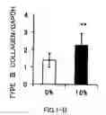 Fig. 03 - AGENT FOR ACTIVATING SIRTUIN GENE CONTAINING EGG SHELL MEMBRANE INGREDIENT AND COMPOSITION USING THE SAME