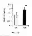 Fig. 05 - AGENT FOR ACTIVATING SIRTUIN GENE CONTAINING EGG SHELL MEMBRANE INGREDIENT AND COMPOSITION USING THE SAME