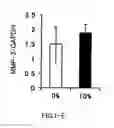 Fig. 06 - AGENT FOR ACTIVATING SIRTUIN GENE CONTAINING EGG SHELL MEMBRANE INGREDIENT AND COMPOSITION USING THE SAME
