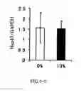 Fig. 07 - AGENT FOR ACTIVATING SIRTUIN GENE CONTAINING EGG SHELL MEMBRANE INGREDIENT AND COMPOSITION USING THE SAME