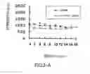 Fig. 20 - AGENT FOR ACTIVATING SIRTUIN GENE CONTAINING EGG SHELL MEMBRANE INGREDIENT AND COMPOSITION USING THE SAME