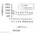 Fig. 23 - AGENT FOR ACTIVATING SIRTUIN GENE CONTAINING EGG SHELL MEMBRANE INGREDIENT AND COMPOSITION USING THE SAME